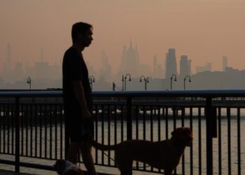 Wildfire smoke kills tens of thousands of people a year. Here’s how it attacks the body