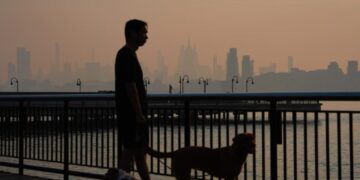 Wildfire smoke kills tens of thousands of people a year. Here’s how it attacks the body