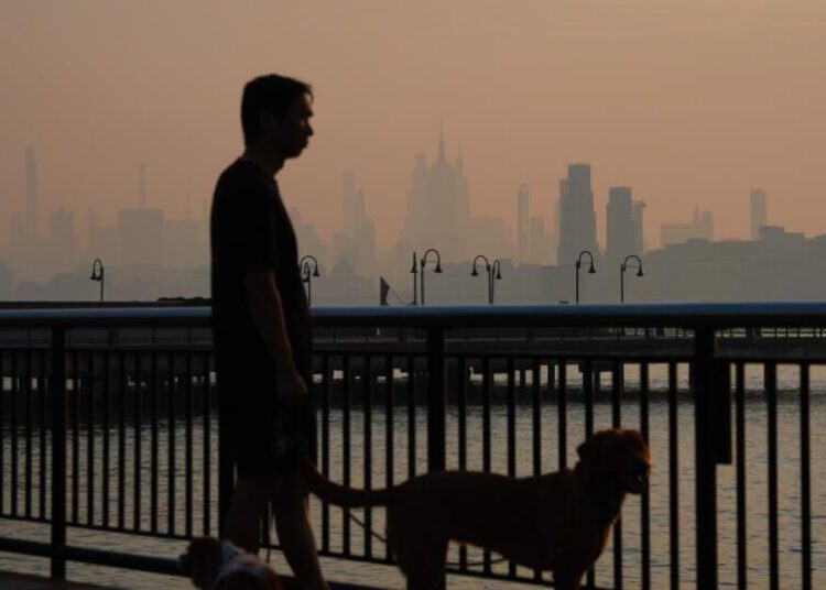 Wildfire smoke kills tens of thousands of people a year. Here’s how it attacks the body
