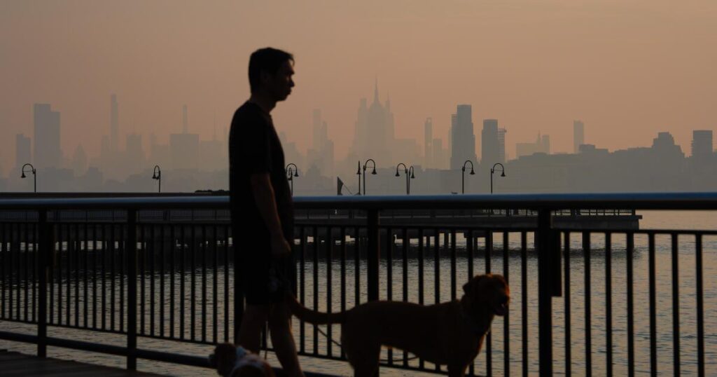 Wildfire smoke kills tens of thousands of people a year. Here’s how it attacks the body