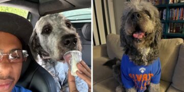L.A. sued over police shooting of dog wearing Knicks T-shirt