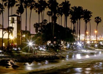 It’s time for the night trip to the beach — the grunion are running