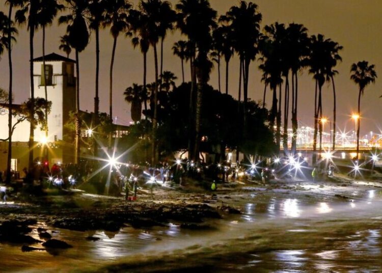 It’s time for the night trip to the beach — the grunion are running
