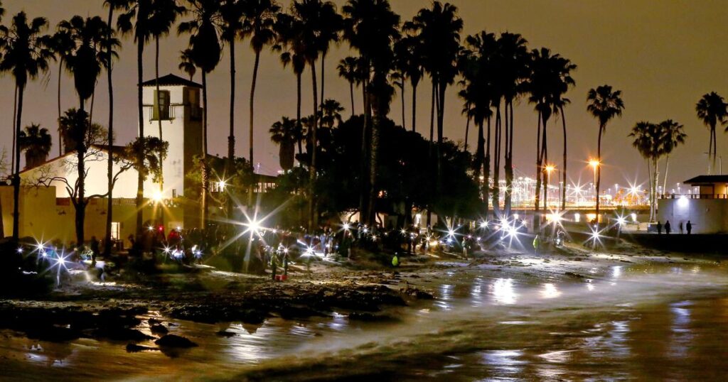 It’s time for the night trip to the beach — the grunion are running