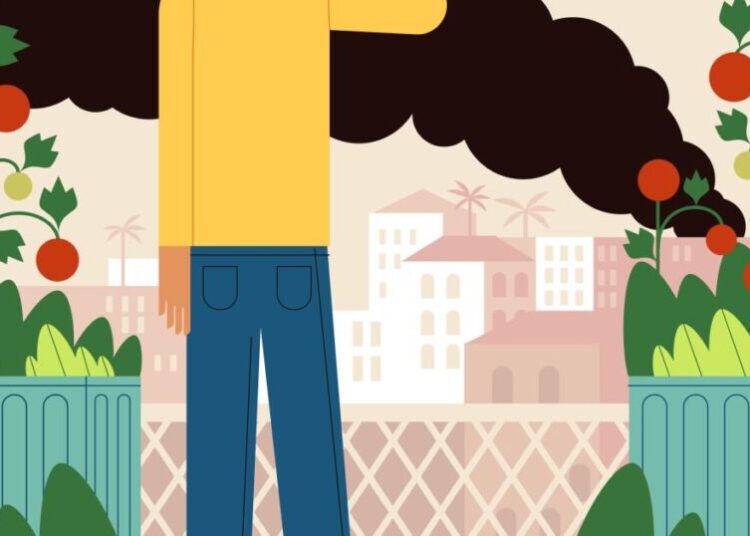 Is it safe to eat from your garden after the Boyle Heights warehouse fire?
