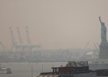 World Cup appears to have dodged worse wildfire smoke thanks to rain