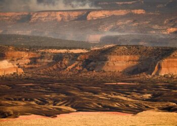 A 4th firefighter dies from burn injuries in last month’s Colorado blaze