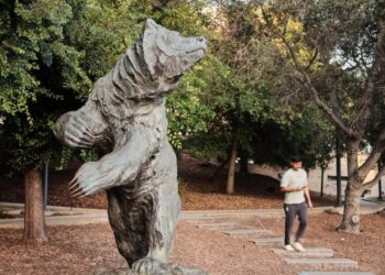 UC could go back to using the SAT and ACT for admissions. Here’s why that doesn’t add up
