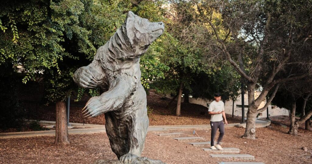 UC could go back to using the SAT and ACT for admissions. Here’s why that doesn’t add up