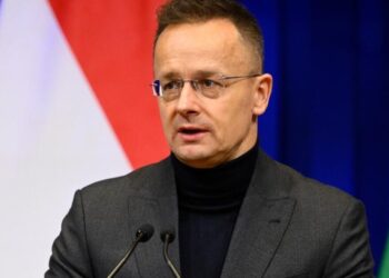 Hungary’s former foreign minister quits parliament for Chinese automaker BYD, sparking backlash