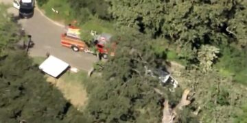 SoCal boy was killed by massive tree branch at summer camp; $19.3-million settlement reached