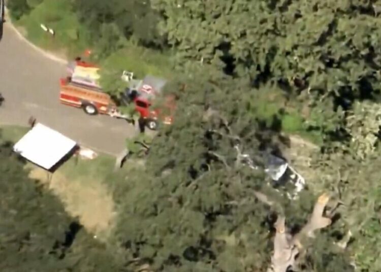 SoCal boy was killed by massive tree branch at summer camp; $19.3-million settlement reached
