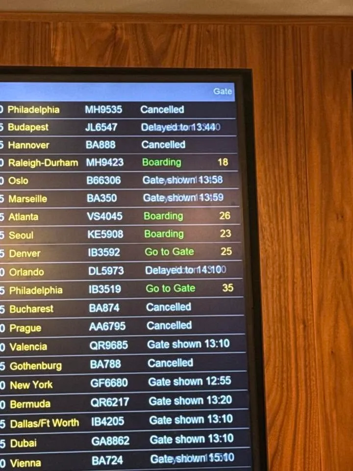 Carol Wick detailed the troubles she ran into during her 48-hour journey home that included multiple delays and a canceled flight.