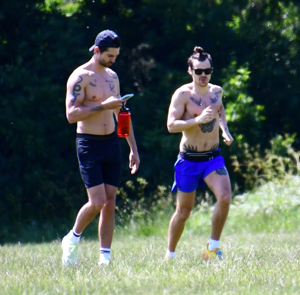Harry Styles, in blue shorts, and a friend, in black shorts, exercising shirtless in a park.