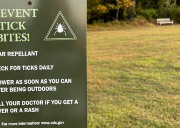 Ticks Are on the Move. Here Are the Risks in Your Region.