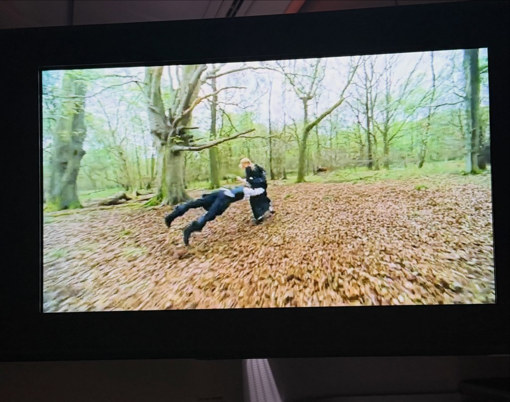 Two people in black clothing fighting in a forest.