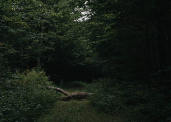 He Found Horror on the Appalachian Trail. 30 Years Later, He’s Back.