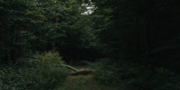 He Found Horror on the Appalachian Trail. 30 Years Later, He’s Back.
