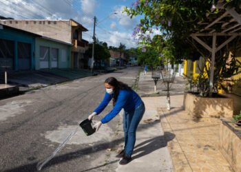 A City Mobilizes Against a Stubborn Health Threat: Mosquitoes