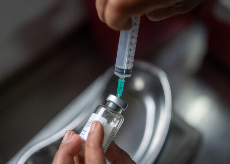 Rare South American Diseases Offer Clues on the Next Pandemic