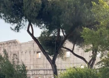 In a Sweltering Summer, These Italians Want Romans to Curl