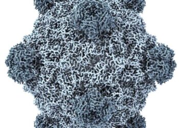 This A.I. Just Created Viruses Not Found in Nature
