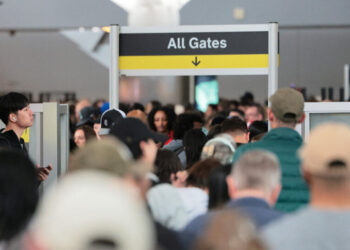 Airport Lines Are Grueling. New Programs Aim to Change That.