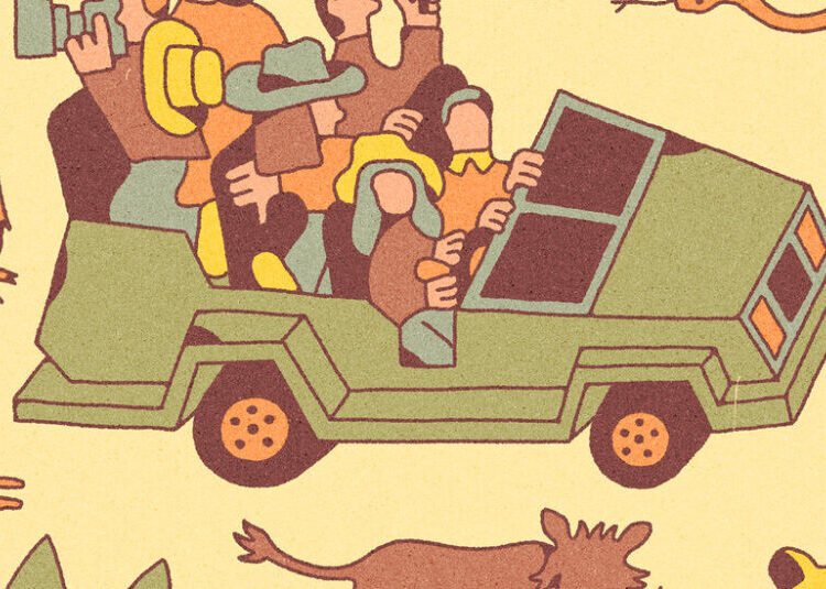 How to Plan an African Safari