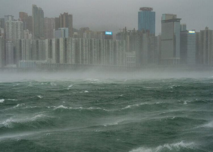 Coming Soon to the Asia Pacific: A Storm Named Dim-sum