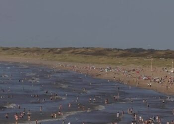 How Being Cool Is Making The Hague a Vacation Hot Spot