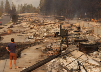 More Than a Dozen Wildfires Burn in Washington State, Forcing Evacuations