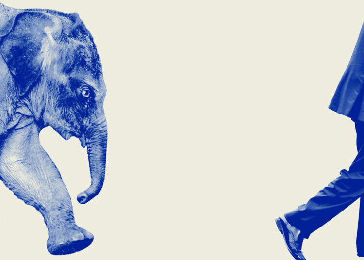 What Happens to America’s Political Parties After Trump?