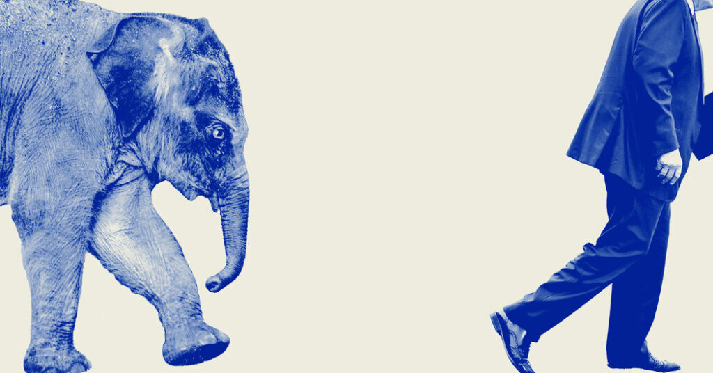 What Happens to America’s Political Parties After Trump?
