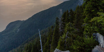 3 Teenagers Used Google Maps for a Hike. They Were Rescued 12 Hours Later.