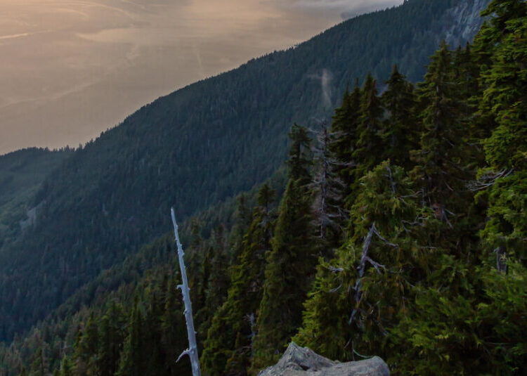 3 Teenagers Used Google Maps for a Hike. They Were Rescued 12 Hours Later.