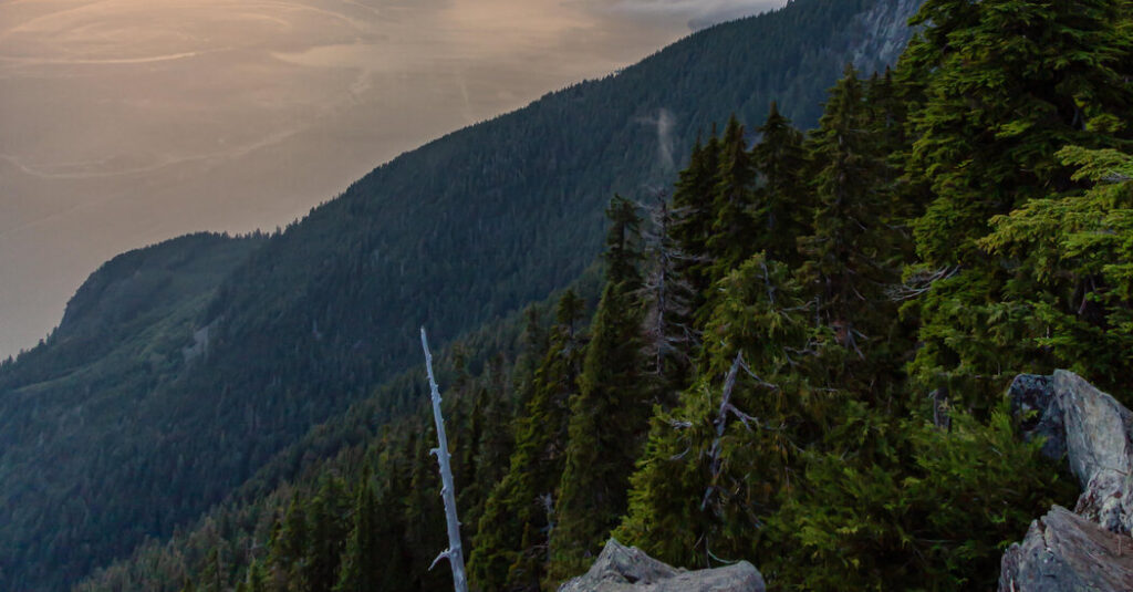 3 Teenagers Used Google Maps for a Hike. They Were Rescued 12 Hours Later.