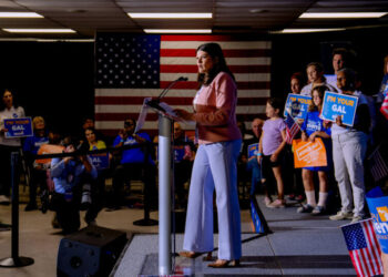 Michigan’s Tense Democratic Senate Race Poses a Big Test for a Divided Party