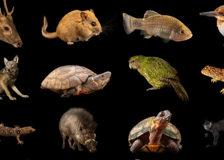 100 Animals and Plants Just Got Some Much-Needed Help