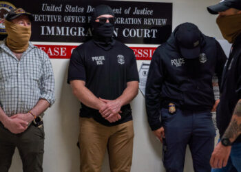 N.Y. Law Barring ICE Agents From Wearing Masks Is Blocked by Judge