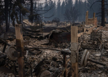 Man Arrested on Suspicion of Arson in Spokane Wildfire