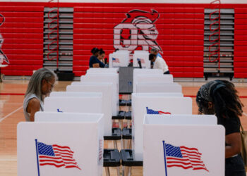 What Was on the Minds of Michigan Voters? Many Cited the Economy and Trump.