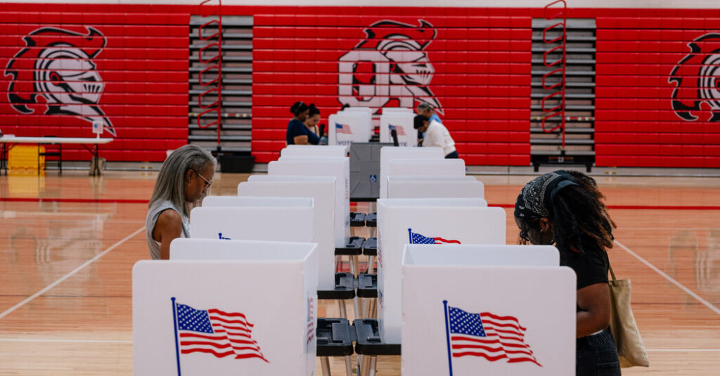 What Was on the Minds of Michigan Voters? Many Cited the Economy and Trump.
