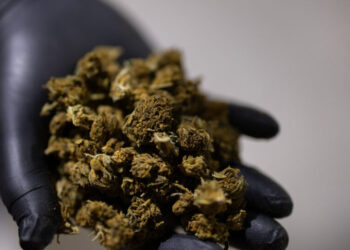 Trump Seeks a Boost for Hemp That Would Benefit a Top Aide’s Family
