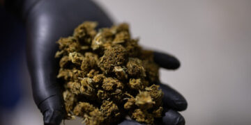 Trump Seeks a Boost for Hemp That Would Benefit a Top Aide’s Family