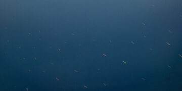Iran Says It Is Nearing Final Agreement With Oman on Strait of Hormuz