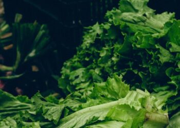 Scared of Cyclospora, Consumers Turn to Local Lettuce