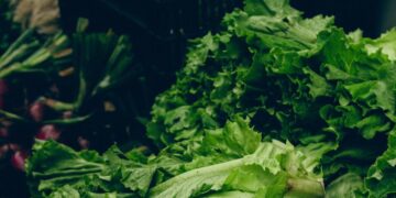 Scared of Cyclospora, Consumers Turn to Local Lettuce