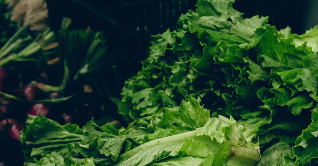 Scared of Cyclospora, Consumers Turn to Local Lettuce