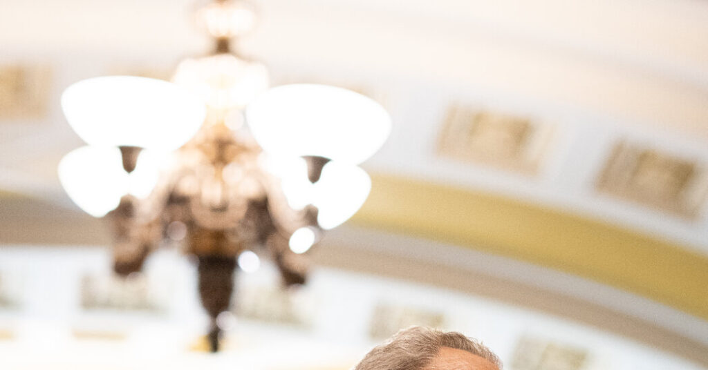 Schumer Forges Ahead in Fight for Senate, Despite Setbacks