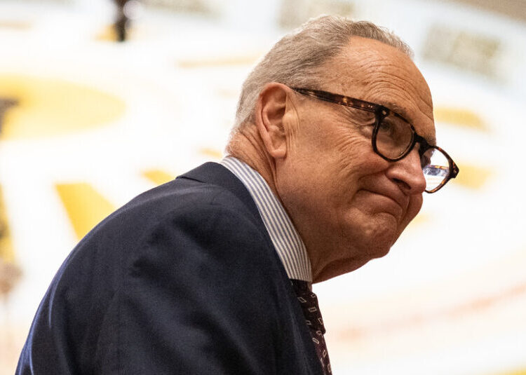 A Spurned Schumer Reaches Out to the Left